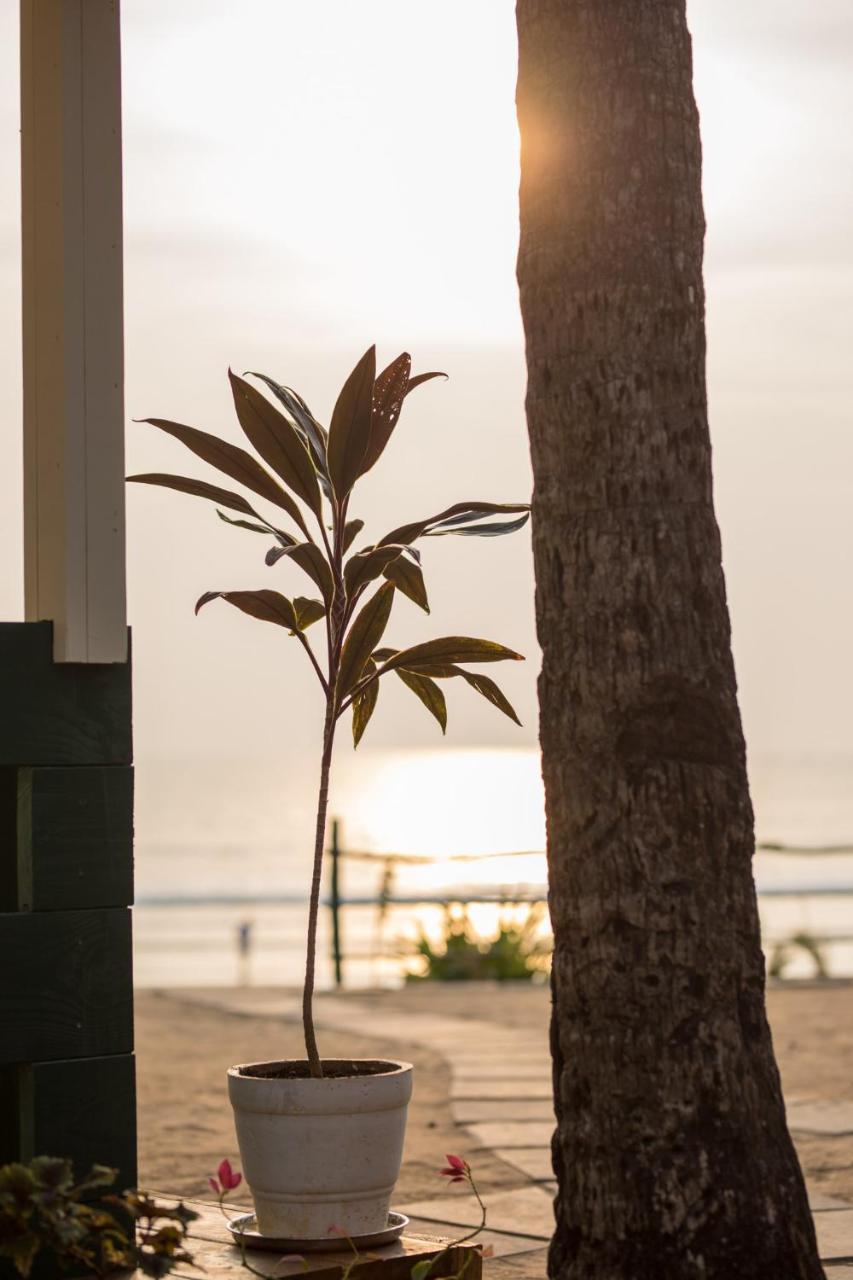 كِناكونا Nest Cottages المظهر الخارجي الصورة